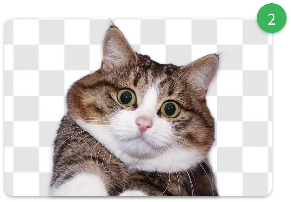 Remove and Replace Background