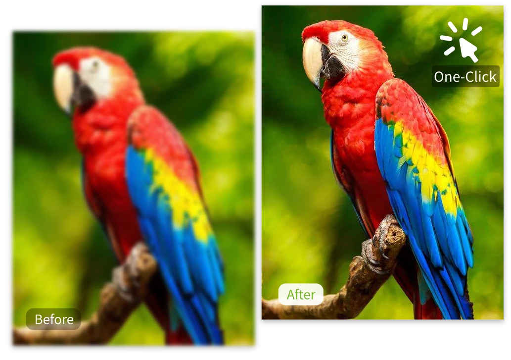 Make Product Images Stand Out and Remove Blur from Photo Easily