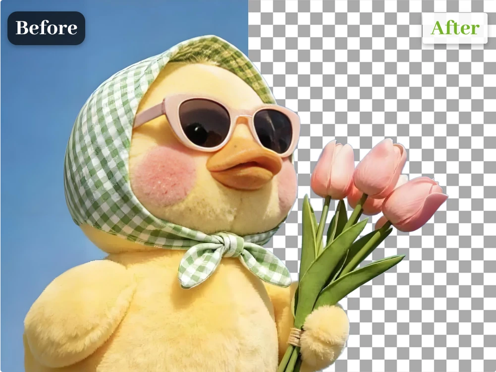 transparent pet gif after background removal