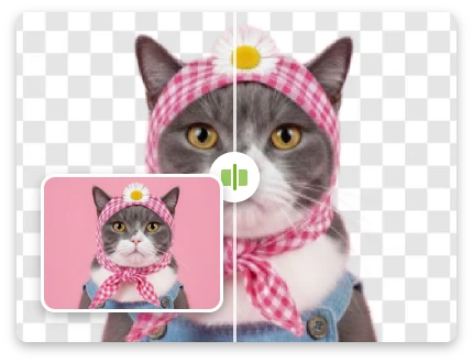 Instant Background Detection