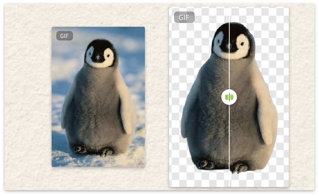 GIF Background Remover