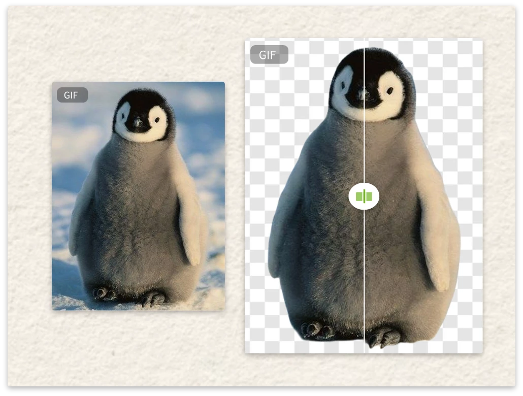 eliminar fondo de GIF y crear animaciones transparentes