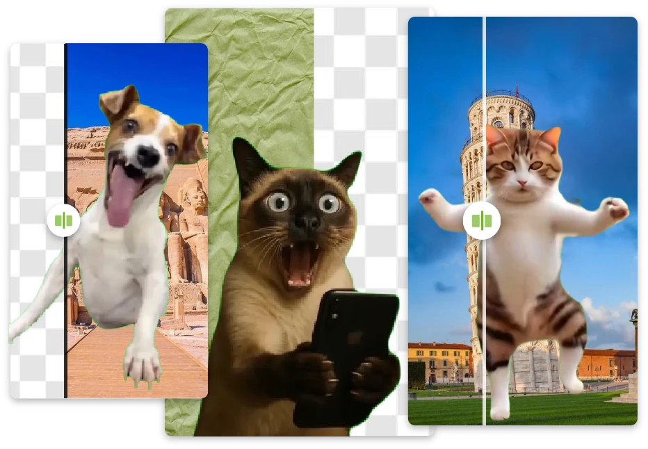 Turn Ordinary Clips into Viral Memes with a Video BG Remover