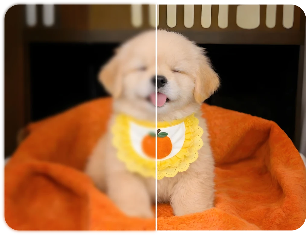 AI blur remover for sharpening blurry videos and enhancing image quality