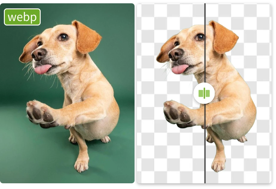 Remove WebP Background Online Without Downloads